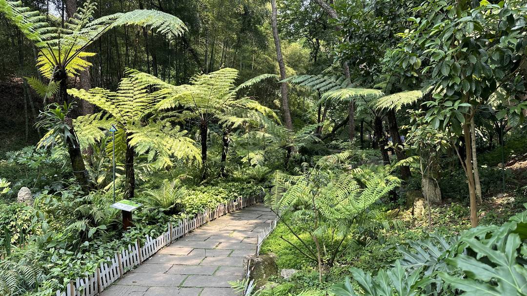 成都植物园
