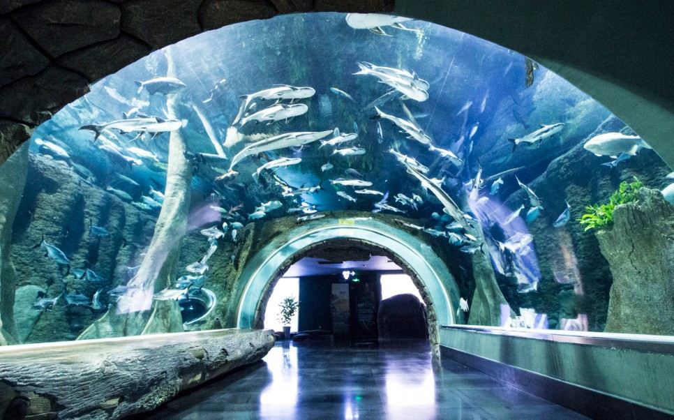 浩海立方海洋馆
