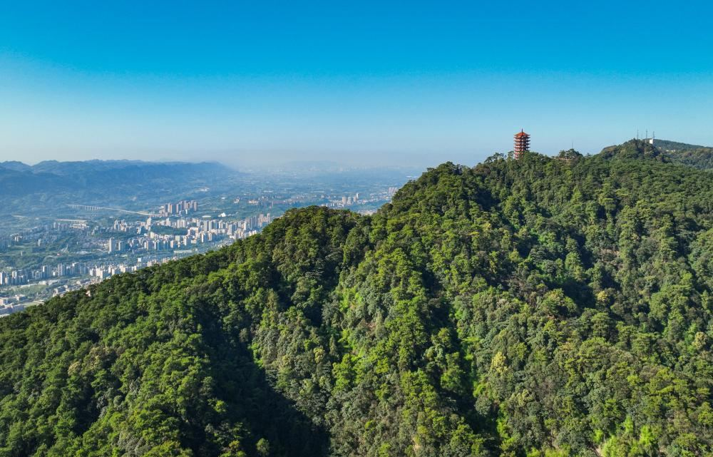 缙云山