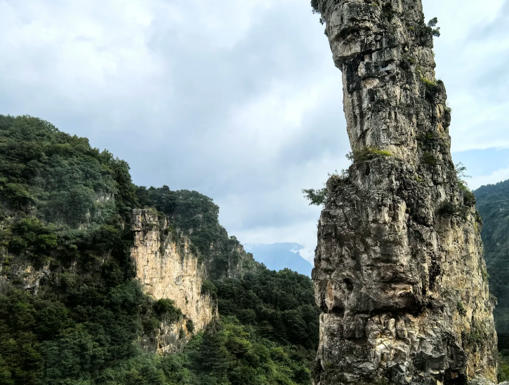 王莽岭