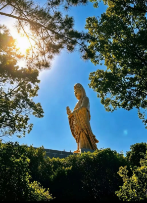 普陀山