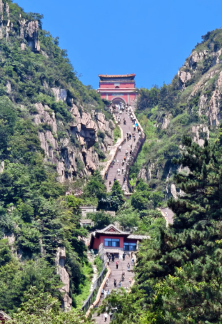 泰山