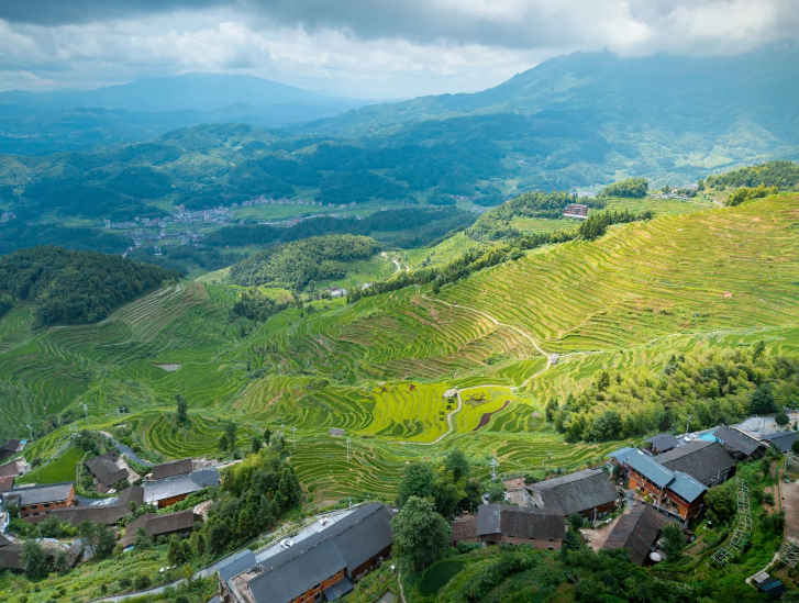 紫鹊界梯田