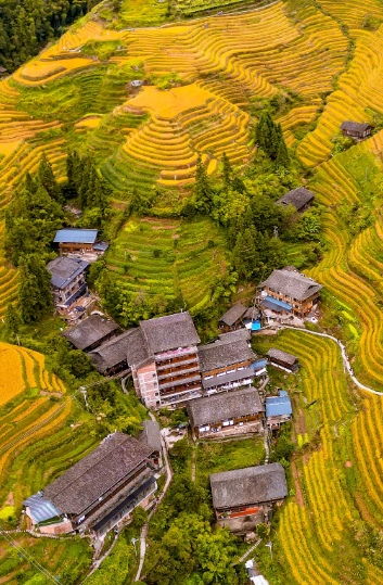 龙脊梯田