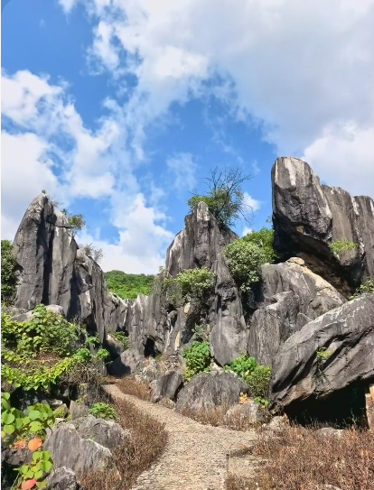 玉石林