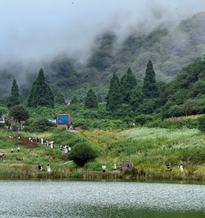 金佛山